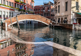 Anthropogenic Venice: Surviving Life in a Lagoon