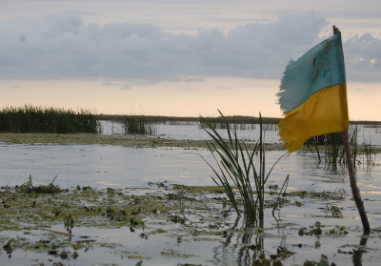 Las repercusiones medioambientales de la guerra en Ucrania