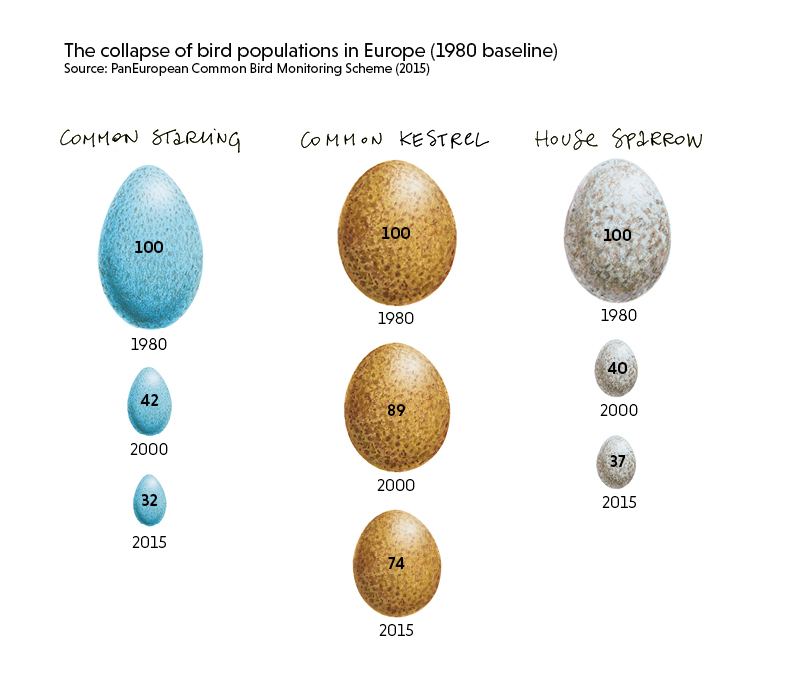 The collapse of bird populations in Europe