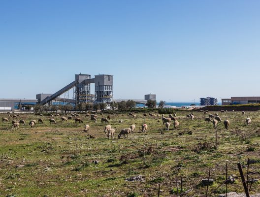 Terre promesse: Manfredonia, reazioni di comunità da una terra tossica