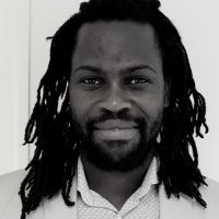 Green European Journal - Bulelani Mfaco