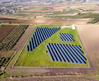 Alcarràs and As Bestas: Spain’s Renewable Energy Divides Play Out in Cinemas