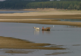 The Invisible Price of Water