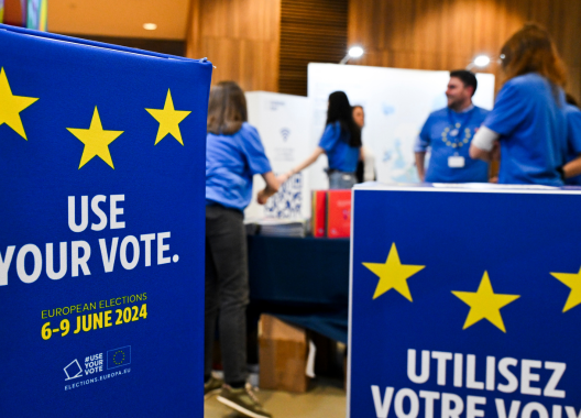A Disaffected Generation? The Youth Vote and Europe’s Future 