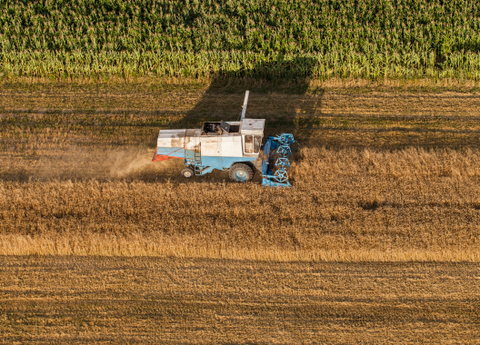 How Agriculture’s “Big Five” Thrive in Crisis