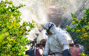 Pesticides and the Missing Test for Parkinson’s