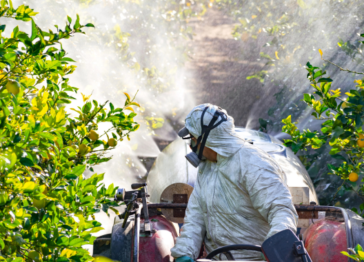 Pesticides and the Missing Test for Parkinson’s